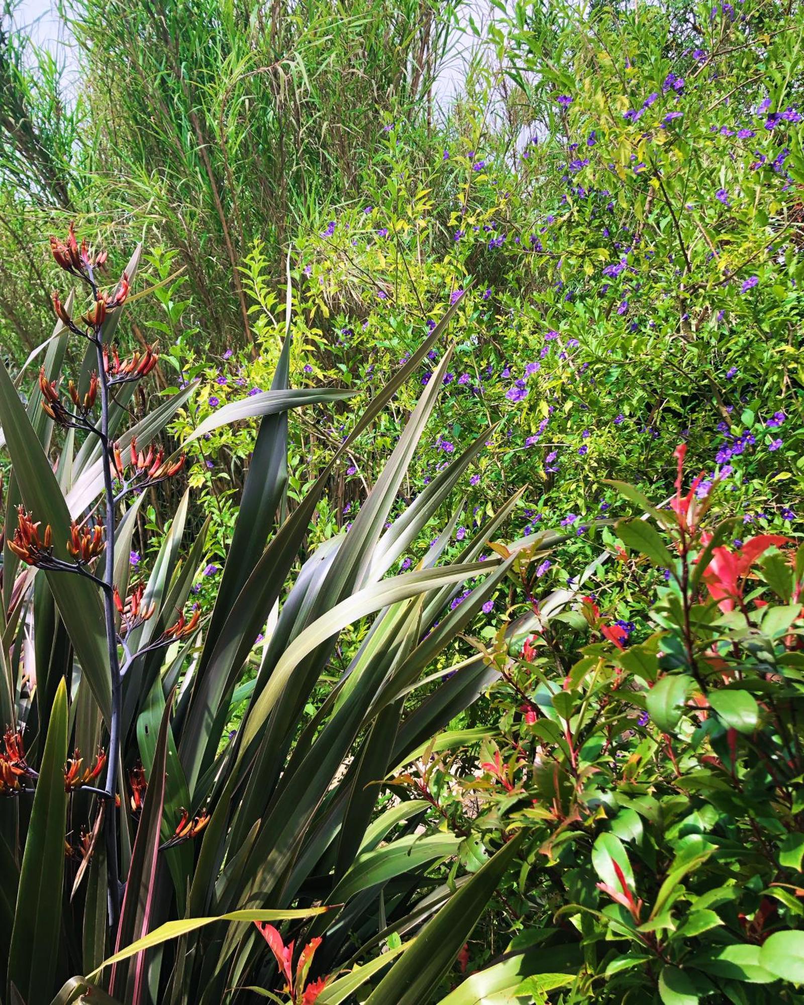 Bed and Breakfast Le Jardin Des Portes Les Portes-en-Re Exterior foto